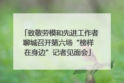 致敬劳模和先进工作者 聊城召开第六场“榜样在身边”记者见面会