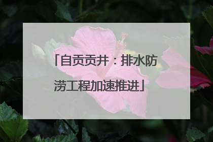 自贡贡井：排水防涝工程加速推进