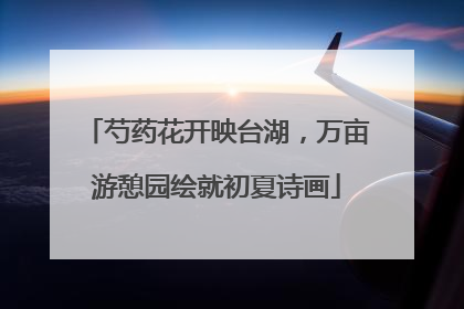 芍药花开映台湖，万亩游憩园绘就初夏诗画