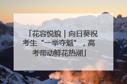 花容悦貌｜向日葵祝考生“一举夺魁”，高考带动鲜花热潮