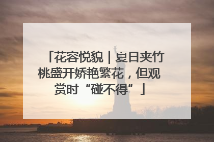 花容悦貌｜夏日夹竹桃盛开娇艳繁花，但观赏时“碰不得”