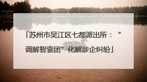 苏州市吴江区七都派出所：“调解智囊团”化解涉企纠纷