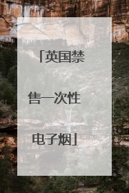 英国禁售一次性电子烟