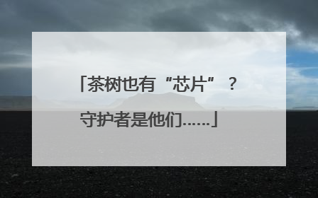茶树也有“芯片”？守护者是他们……