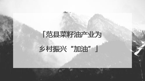 范县菜籽油产业为乡村振兴“加油”