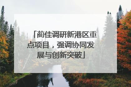 蔺佳调研新港区重点项目，强调协同发展与创新突破