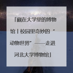 藏在大学里的博物馆丨校园里奇妙的“动物世界”——走进河北大学博物馆
