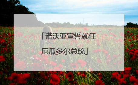 诺沃亚宣誓就任厄瓜多尔总统