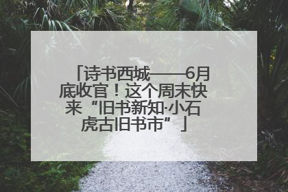 诗书西城——6月底收官！这个周末快来“旧书新知·小石虎古旧书市”