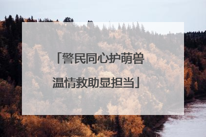 警民同心护萌兽 温情救助显担当