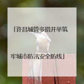 许昌城管多措并举筑牢城市防汛安全防线