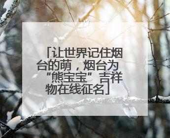 让世界记住烟台的萌，烟台为“熊宝宝”吉祥物在线征名