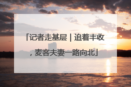 记者走基层｜追着丰收，麦客夫妻一路向北