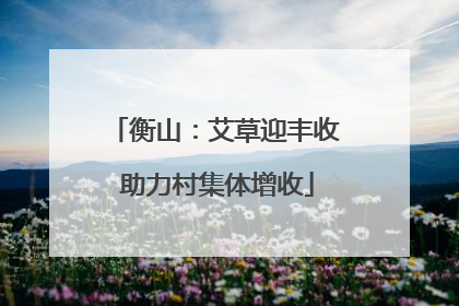 衡山：艾草迎丰收 助力村集体增收