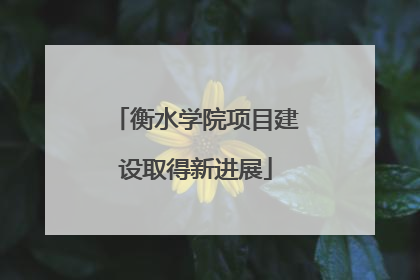 衡水学院项目建设取得新进展