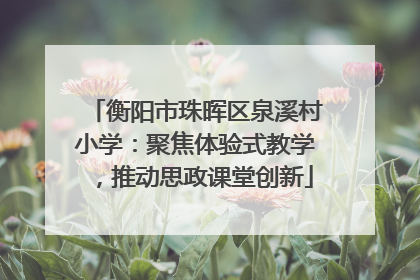 衡阳市珠晖区泉溪村小学：聚焦体验式教学，推动思政课堂创新