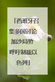 西班牙召集多国讨论加沙局势 呼吁制裁以色列