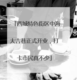 西城特色街区中海大吉巷正式开业，打卡市民真不少