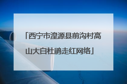 西宁市湟源县前沟村高山大白杜鹃走红网络