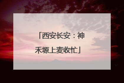 西安长安：神禾塬上麦收忙