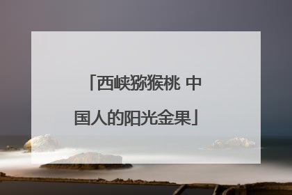 西峡猕猴桃 中国人的阳光金果
