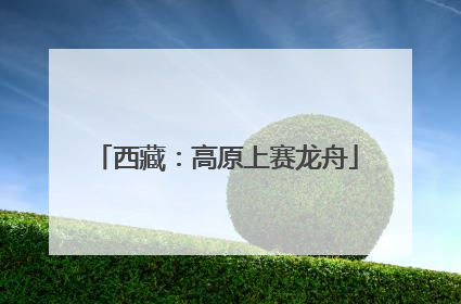 西藏：高原上赛龙舟