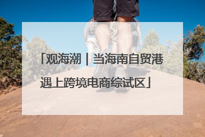 观海潮｜当海南自贸港遇上跨境电商综试区