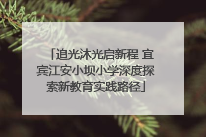 追光沐光启新程 宜宾江安小坝小学深度探索新教育实践路径
