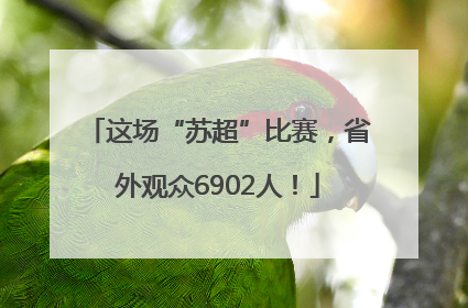 这场“苏超”比赛，省外观众6902人！