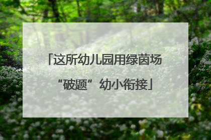 这所幼儿园用绿茵场“破题”幼小衔接