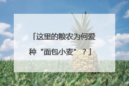 这里的粮农为何爱种“面包小麦”？