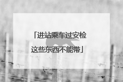 进站乘车过安检 这些东西不能带