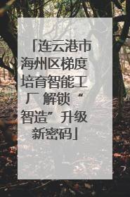 连云港市海州区梯度培育智能工厂 解锁“智造”升级新密码