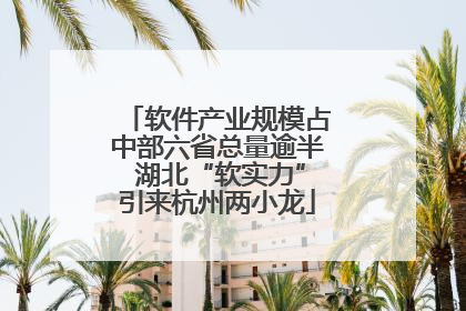 软件产业规模占中部六省总量逾半 湖北“软实力”引来杭州两小龙