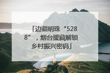 边疆明珠“5288”，烟台援藏解锁乡村振兴密码