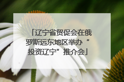 辽宁省贸促会在俄罗斯远东地区举办“投资辽宁”推介会