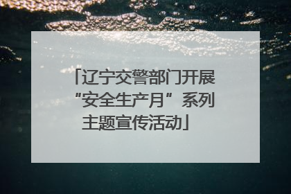 辽宁交警部门开展“安全生产月”系列主题宣传活动