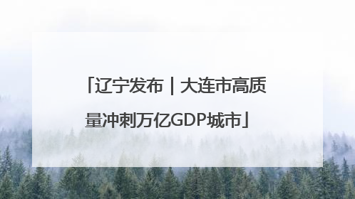 辽宁发布｜大连市高质量冲刺万亿GDP城市