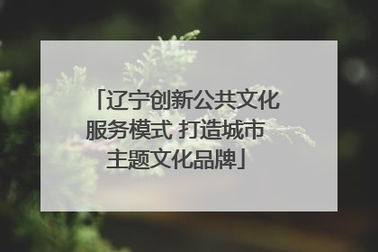 辽宁创新公共文化服务模式 打造城市主题文化品牌