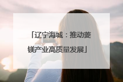 辽宁海城：推动菱镁产业高质量发展