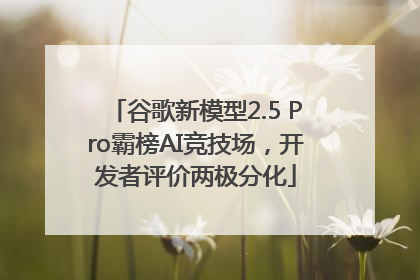谷歌新模型2.5 Pro霸榜AI竞技场，开发者评价两极分化