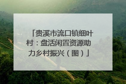 贵溪市流口镇细叶村：盘活闲置资源助力乡村振兴（图）