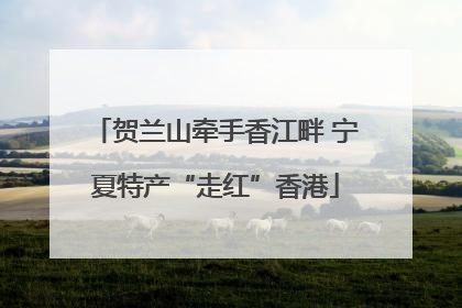 贺兰山牵手香江畔 宁夏特产“走红”香港