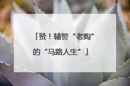赞！辅警“老陶”的“马路人生”