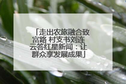 走出农旅融合致富路 村支书刘连云答红星新闻：让群众享发展成果