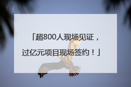超800人现场见证，过亿元项目现场签约！