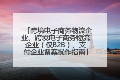 跨境电子商务物流企业、跨境电子商务物流企业（仅B2B）、支付企业备案操作指南