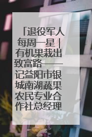 退役军人每周一星｜有机果栽出致富路——记益阳市银城南湖蔬果农民专业合作社总经理晏桂明