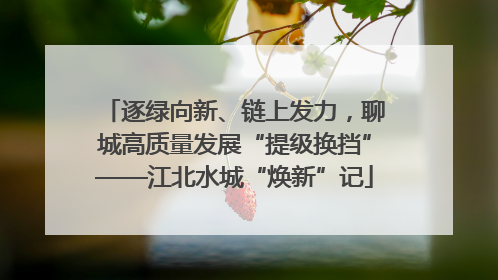 逐绿向新、链上发力，聊城高质量发展“提级换挡”——江北水城“焕新”记