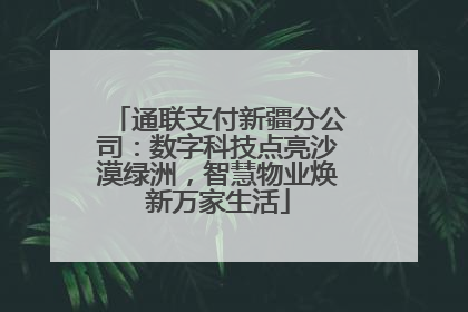 通联支付新疆分公司：数字科技点亮沙漠绿洲，智慧物业焕新万家生活